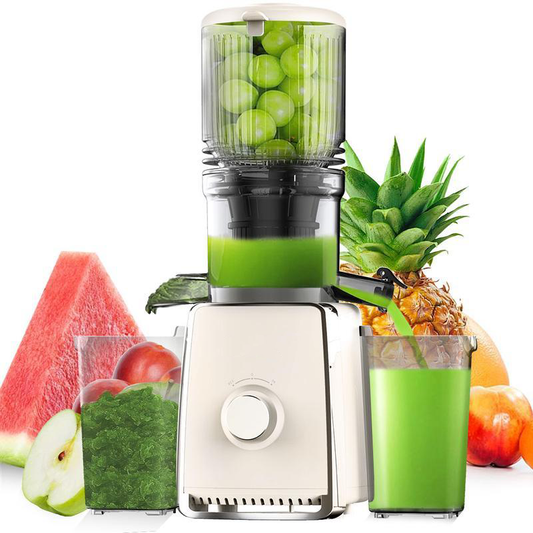 Professional Slow Juicer with Large Chute
